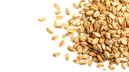 Rolled oats spilling on a transparent background