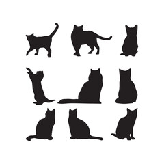  cat sihlouete vector design