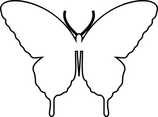 butterfly icon button, vector, sign, symbol, logo, editable stroke, flat design style isolated decorative element. Vector of various insect forms in trendy outline style. with transparent background