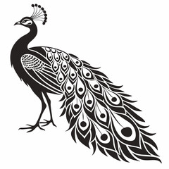 indian peafowl black silhouette icon vector
