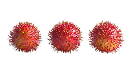 Three vibrant red lychee-like rambutan fruits with spiky skin are displayed in a row for use in vibrant food advertising banners.