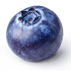 blueberries on a white background