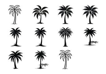 set of palm trees silhouettes set on a white background