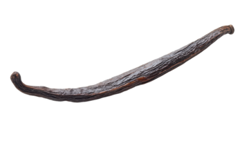 The elegant curve of a dried vanilla bean resting on a pristine white surface