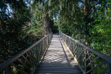 Footbridge made of wood and steel in nature