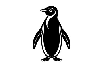 penguin on a white background