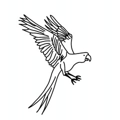 Fototapeta premium illustration of a beo without color