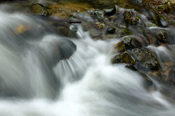small waterfall in the forest