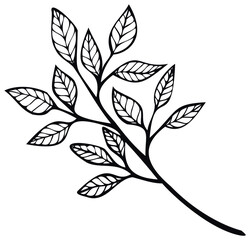 Wild Flower silhouette Vector Image Isolated On White Background