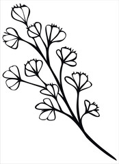 Wild Flower silhouette Vector Image Isolated On White Background