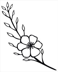 Wild Flower silhouette Vector Image Isolated On White Background