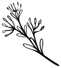 Wild Flower silhouette Vector Image Isolated On White Background