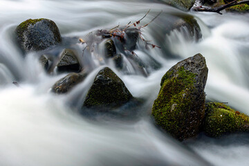 Fototapeta premium small waterfall in the forest