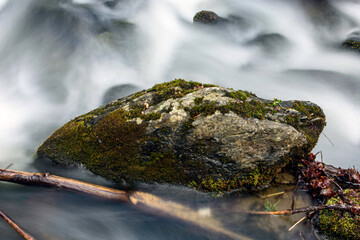 small waterfall in the forest