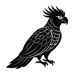 vector black silhouette of a cockatoo parrot.