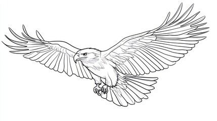 Obraz premium Eagle in flight, detailed line art illustration