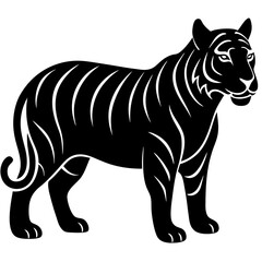 zebra vector illustration