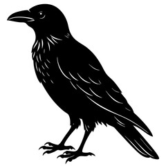 crow on a white background