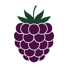 vector illustration of a raspberry