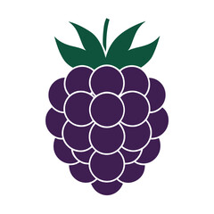 vector illustration of a raspberry