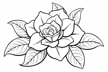 coloring page line art the gardenia black vector