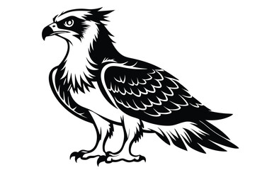Osprey Stencil Silhouette with Detailed Feathers 