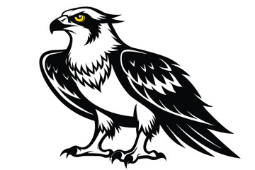 Detailed Black and White Eagle Mascot with Sharp Talons on White Background