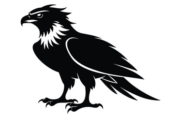 Detailed Black Eagle