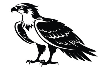 Striking Osprey Art in Black and White with Bold Feather and Claw Details