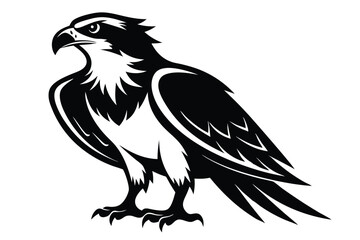 Black and White Full Eagle With Sharp Details on a White Background