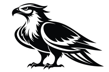 Powerful Eagle Design, Isolated Silhouette with Sharp Details 