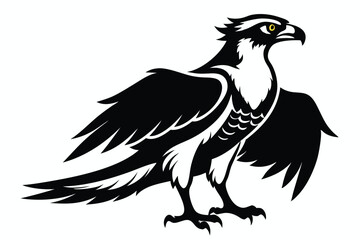 Detailed Osprey with Golden Eye on White Background, Stylized Bird