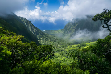 Obraz premium Ocean View Lush Valley, Green Mountains