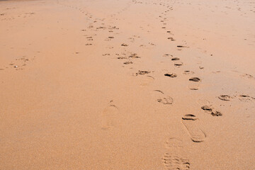 Footprints on sandy beach with gentle waves in natural light