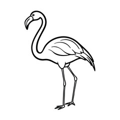 illustration of a flamingo