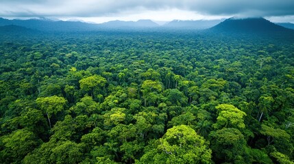 Fototapeta premium Aerial view of lush rainforest canopy, mountains in background.