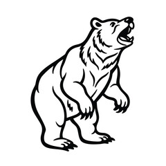 bear vector illustration