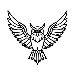 owl vector illustration