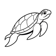 vector illustration of a turtle