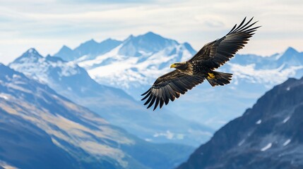 Majestic eagle soaring above rugged mountains nature photography vibrant landscape aerial view