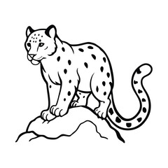 silhouette of a leopard