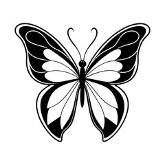 Butterfly silhouette vector Designs  8