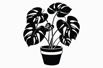 Obraz premium Monstera Plant with Stripped Pot Black and White Illustration, White Background