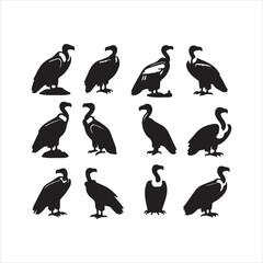 Naklejka premium set of birds