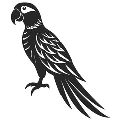 Macaw silhouette vector illustration