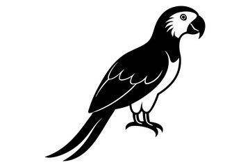 Macaw silhouette vector illustration