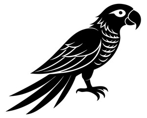 Macaw silhouette vector illustration