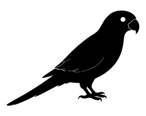 Parrot silhouette vector illustration