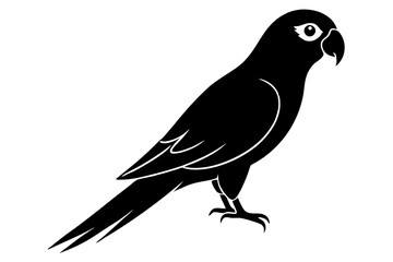 Fototapeta premium Parrot silhouette vector illustration