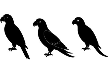set of Parrot silhouette vector illustration